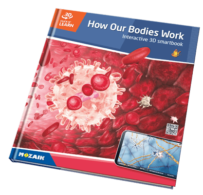 20 books with 800 3D scenes