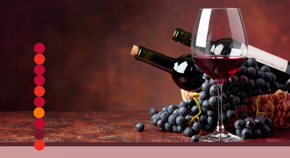 Wie werden Trauben zu Wein?