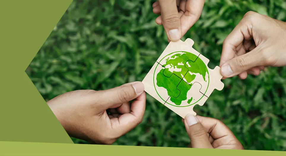 What does sustainable living mean?
