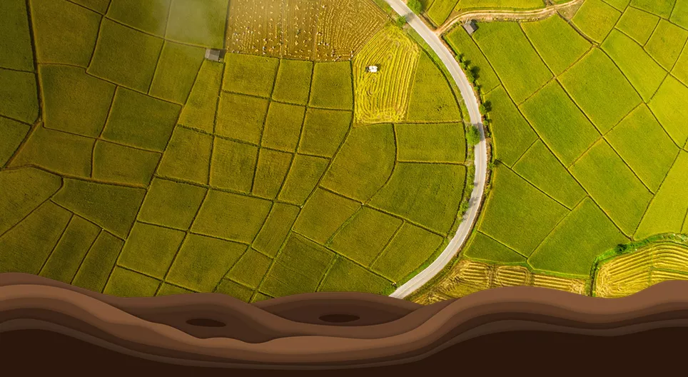 The past and present of crop rotation