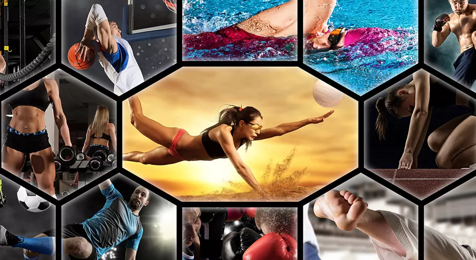 Sport