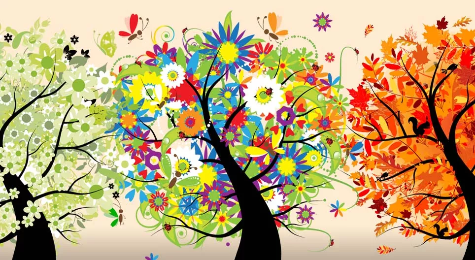 Was sind Jahreszeiten?