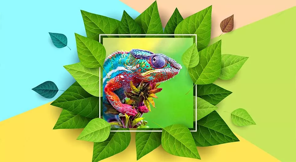 Farbwechsler in der Natur