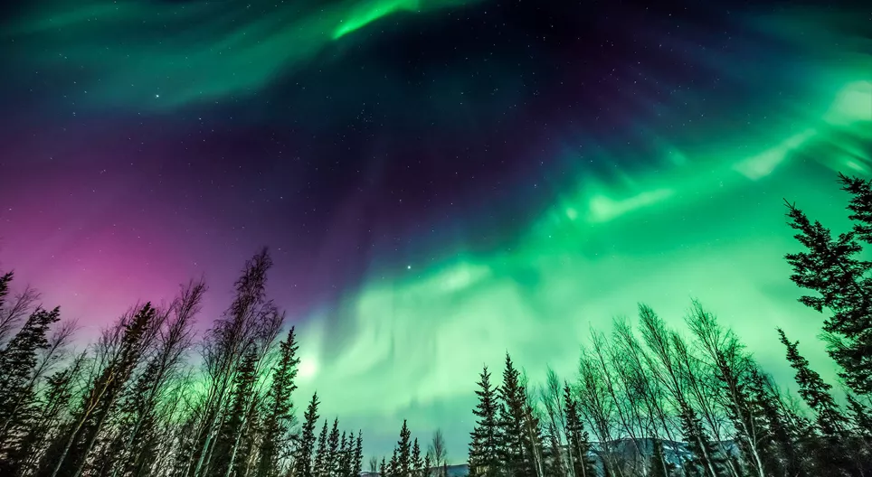 Lasst uns die Polarlichter beobachten!