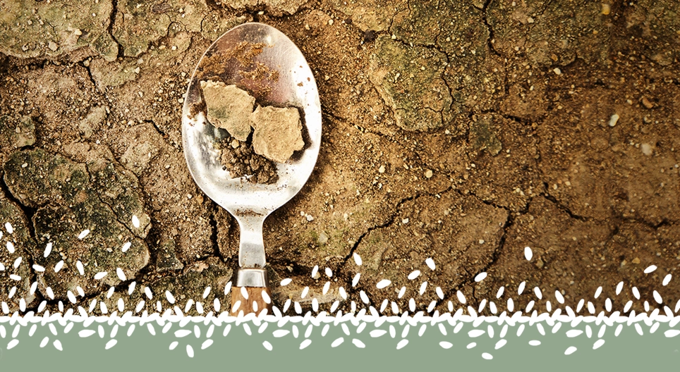 Die globale Nahrungsmittelkrise