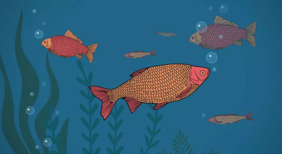 Trinken Fische?