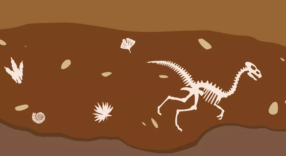 Wie entstand das Leben auf der Erde?