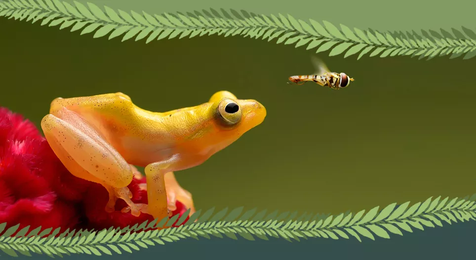 Wirbellose oder Wirbeltiere?