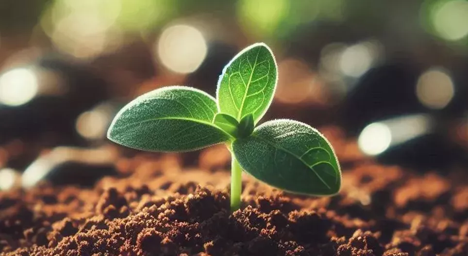 Nachhaltige Landwirtschaft