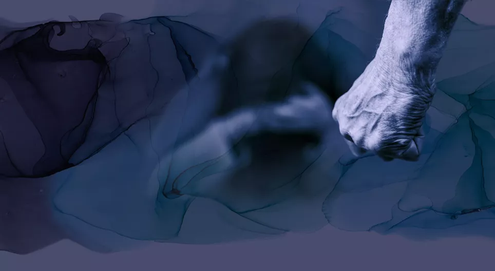 Missbräuchliche Beziehungen