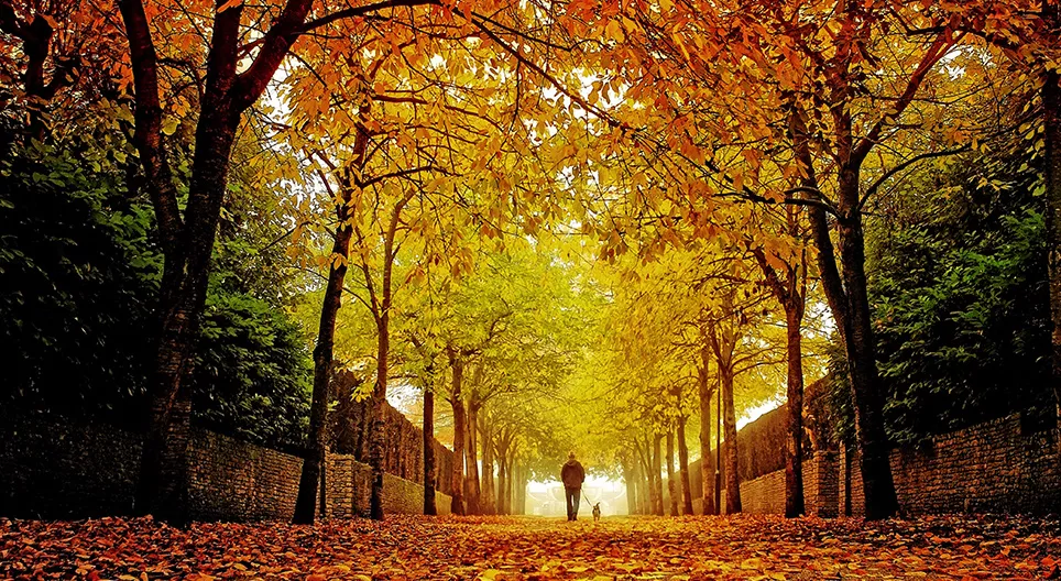 Der Herbst