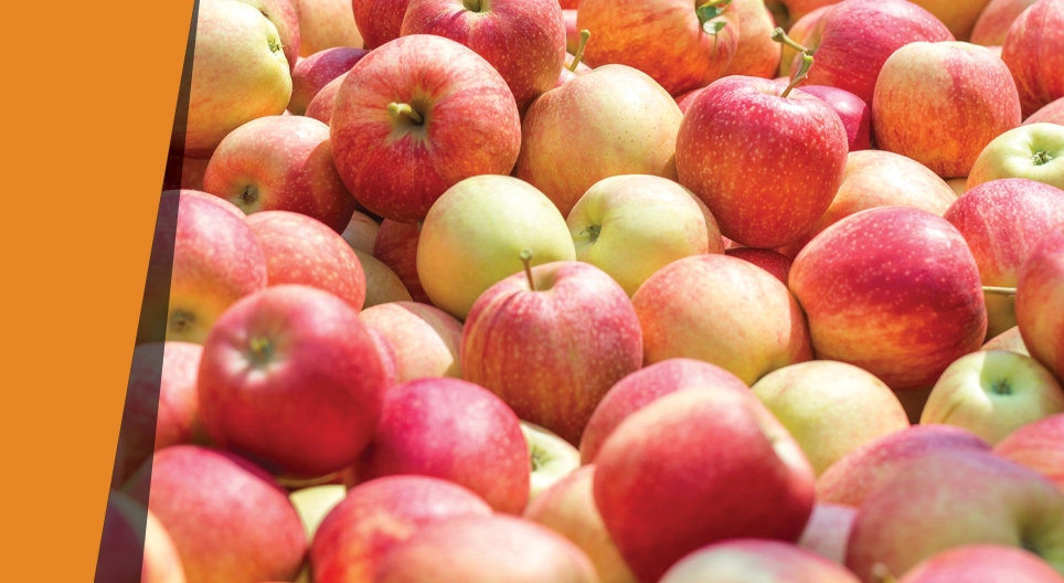 Apfel mit Mandelduft