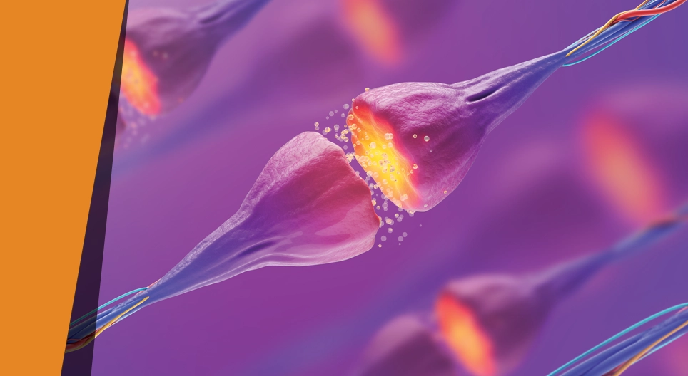 Verschwindende Aromen