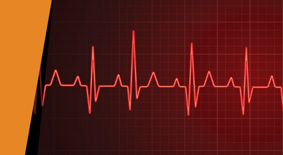 Der Rhythmus des Herzens