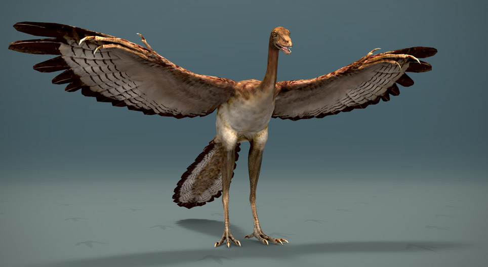 Der Archaeopteryx
