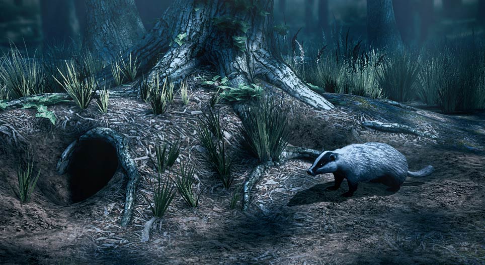 Der Europäische Dachs