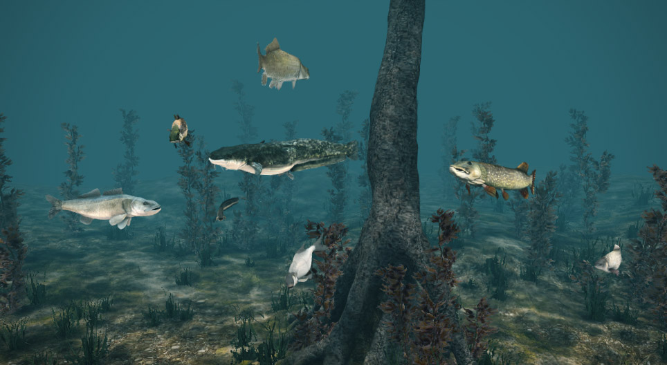 Die Süßwasserfische