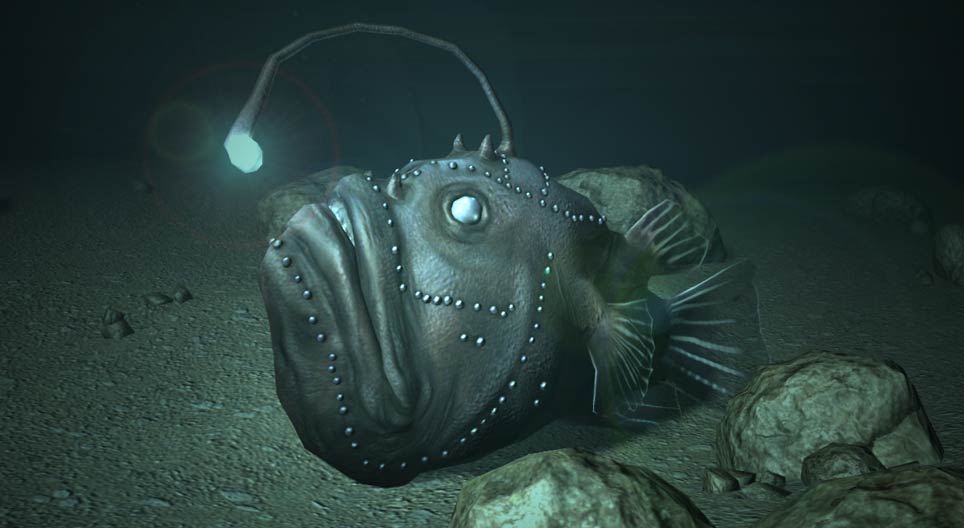 Der Seeteufel