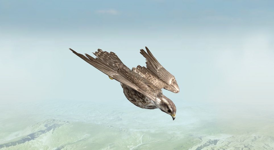 Der Sakerfalke