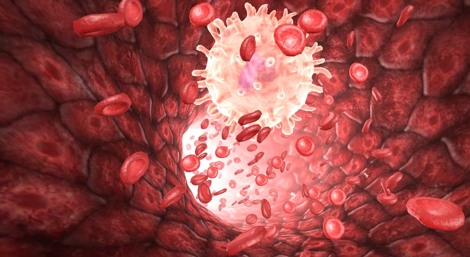 Das menschliche Blut