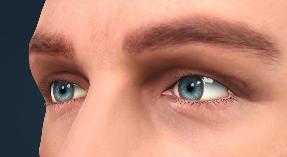 Das Auge