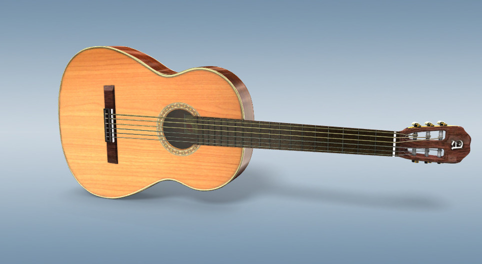 Die Gitarre