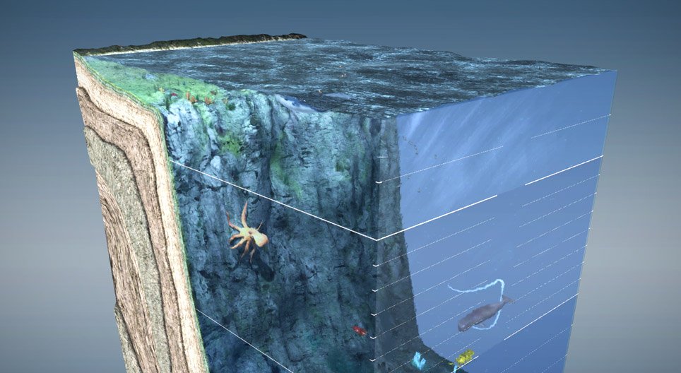 Die Lebensräume im Meer