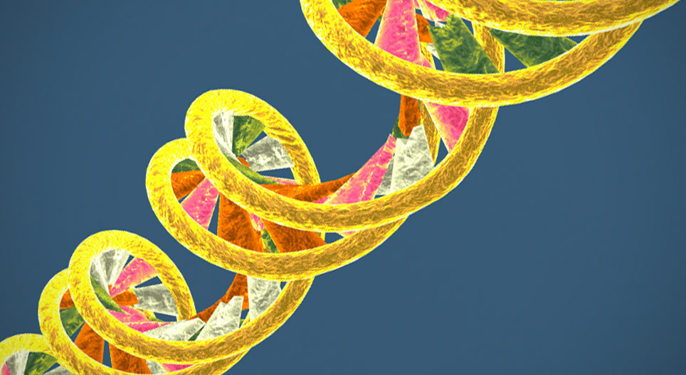 Die DNA