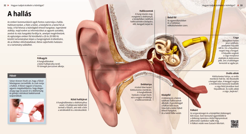 Hearing