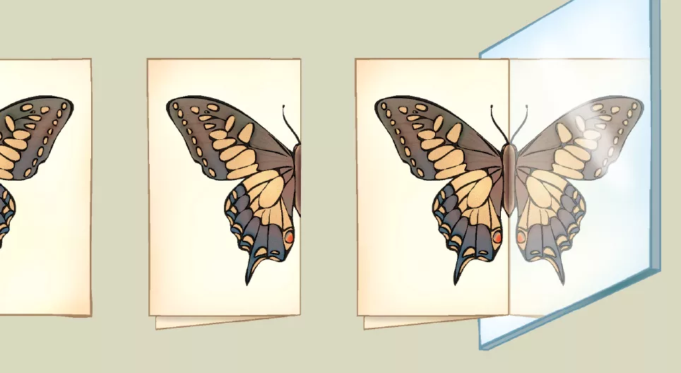 Axial symmetry in your environment