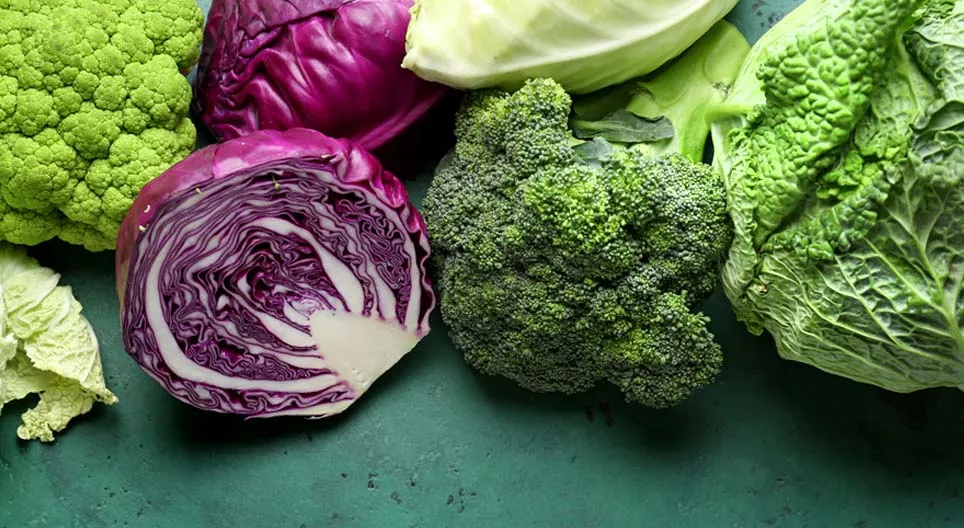 The cabbage family