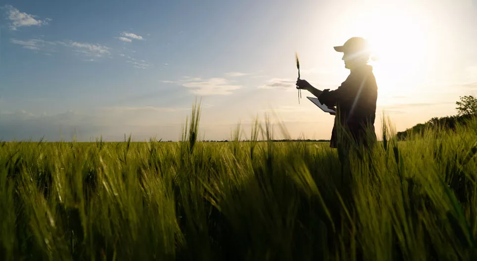 The environmental risks of pesticides and fertilisers
