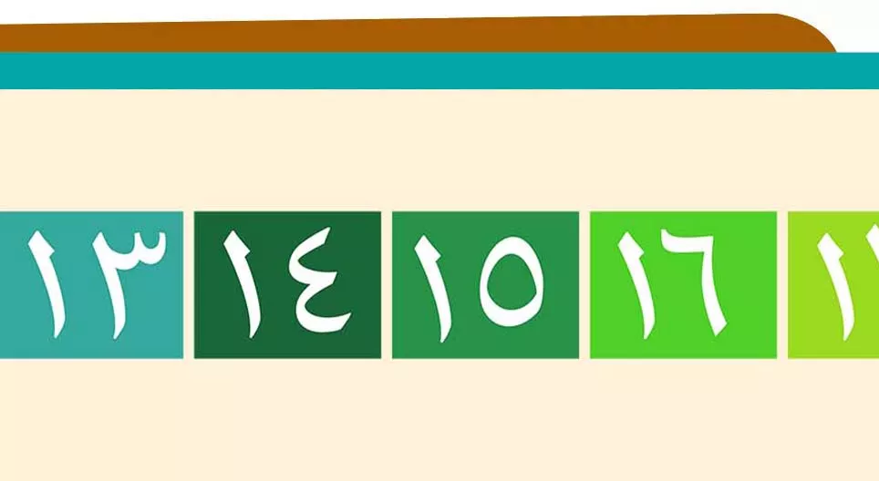 Numbers: Counting Beyond Ten