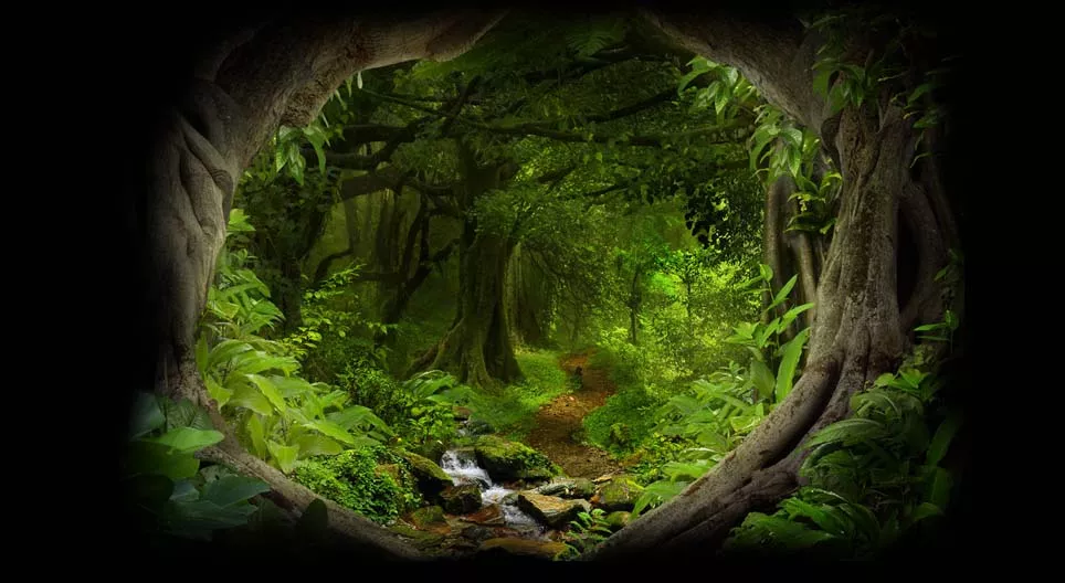 Deep in the jungle