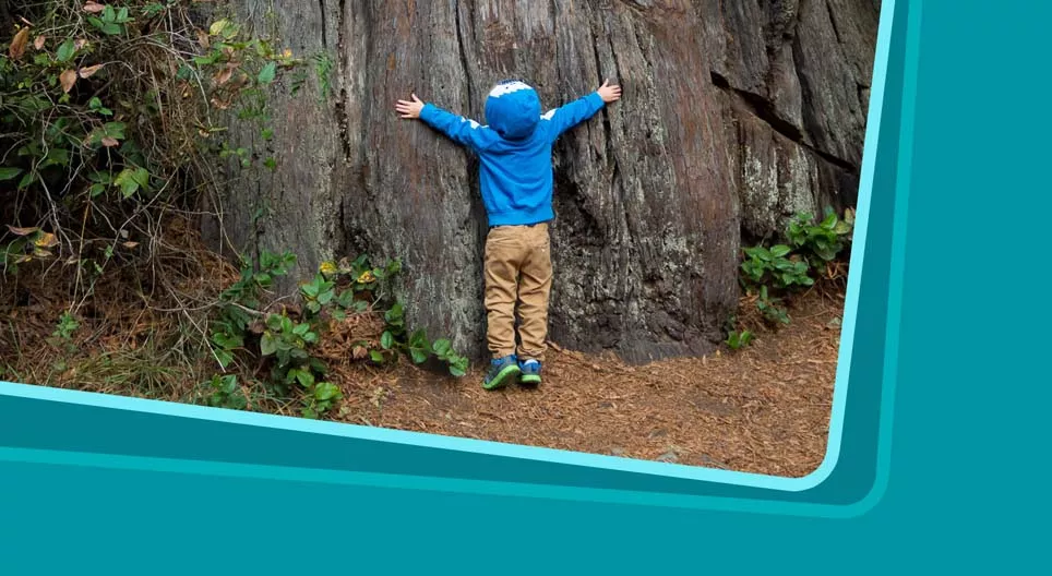 Show how wonderful the world is