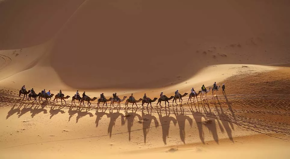 Join the caravan!