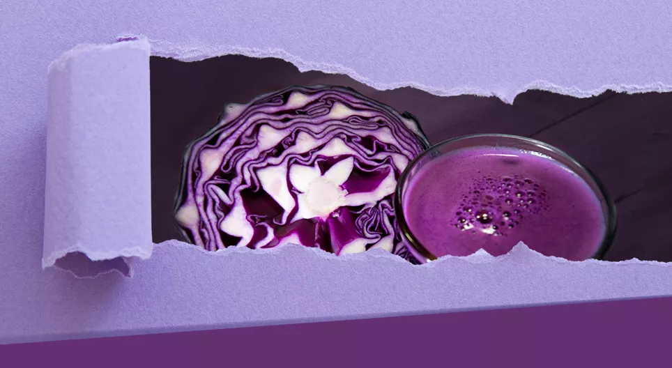 Let's make an indicator from red cabbage