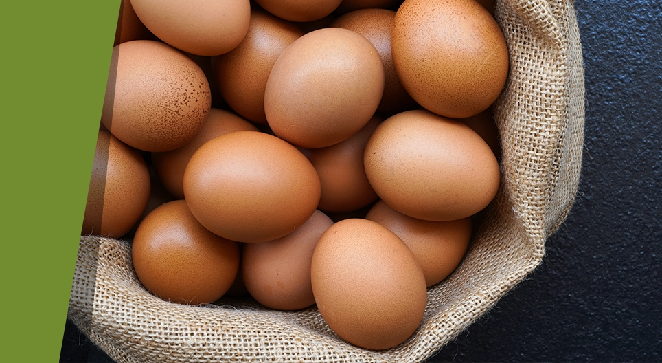 Peeling an egg