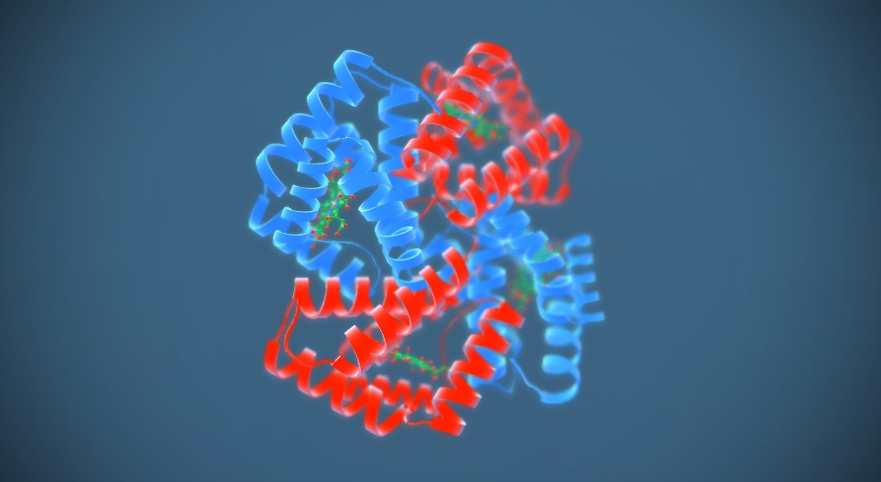 Haemoglobin