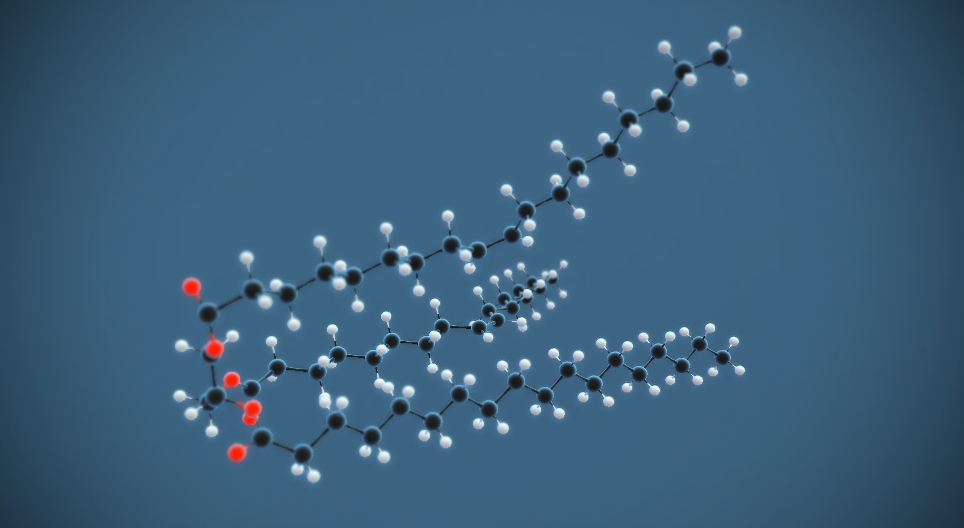 Oil molecule