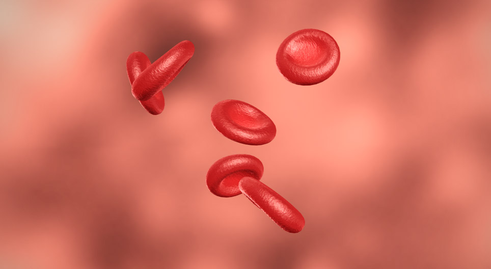 The human blood