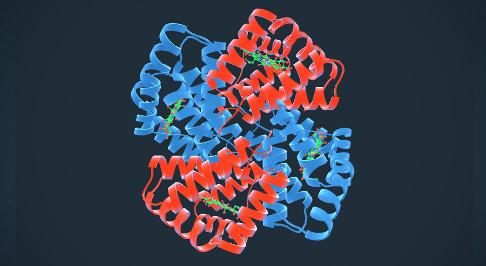 Haemoglobin