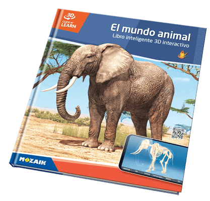Book MS-6413-ES