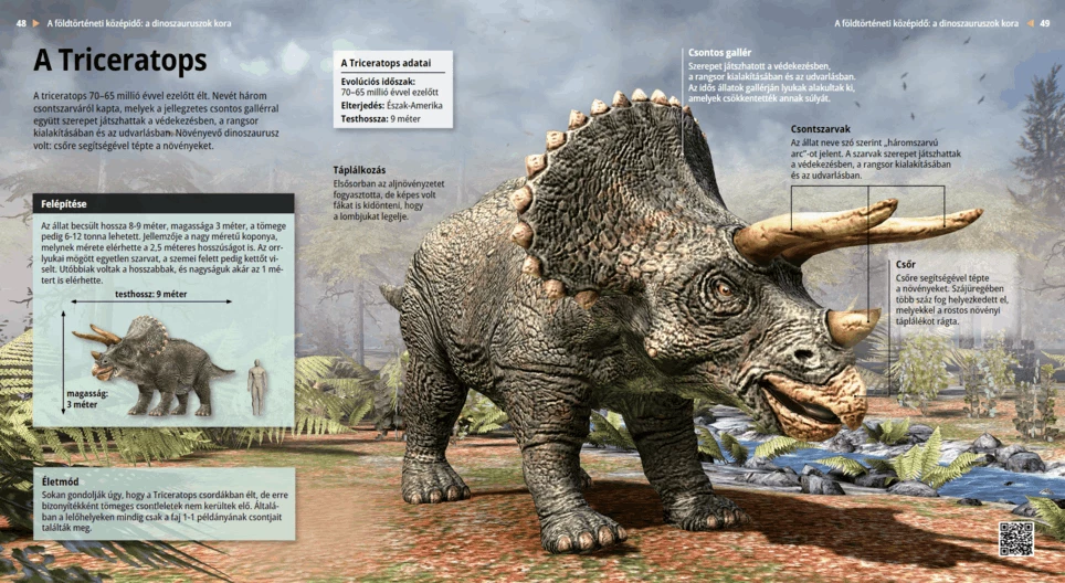 Los triceratops
