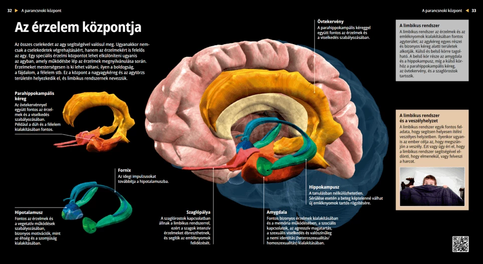 El centro de las emociones