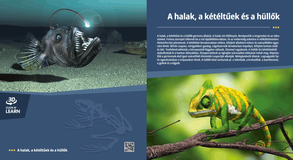 Los peces, los anfibios y los reptiles