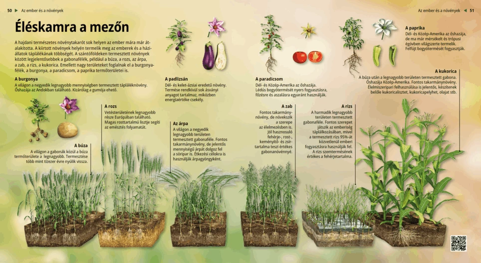 La despensa de la naturaleza