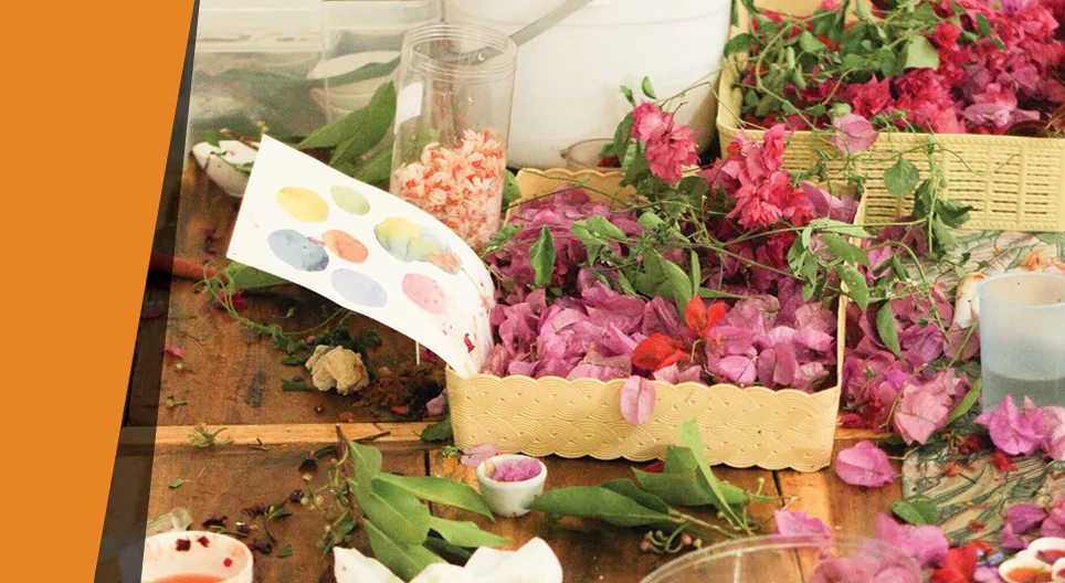 Pintar con plantas