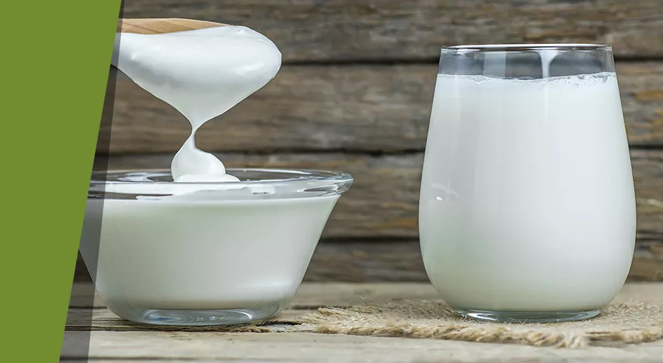 Leche sólida