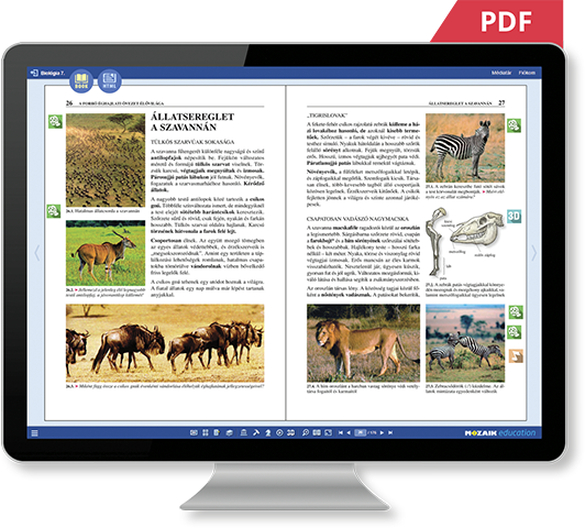 PDF ou HTML